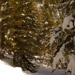 Tra lago secco e lago bagnour